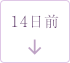 14日前